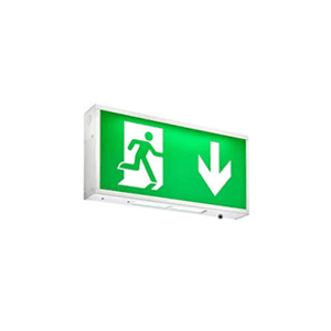 Illuminated Emergency Exit Sign